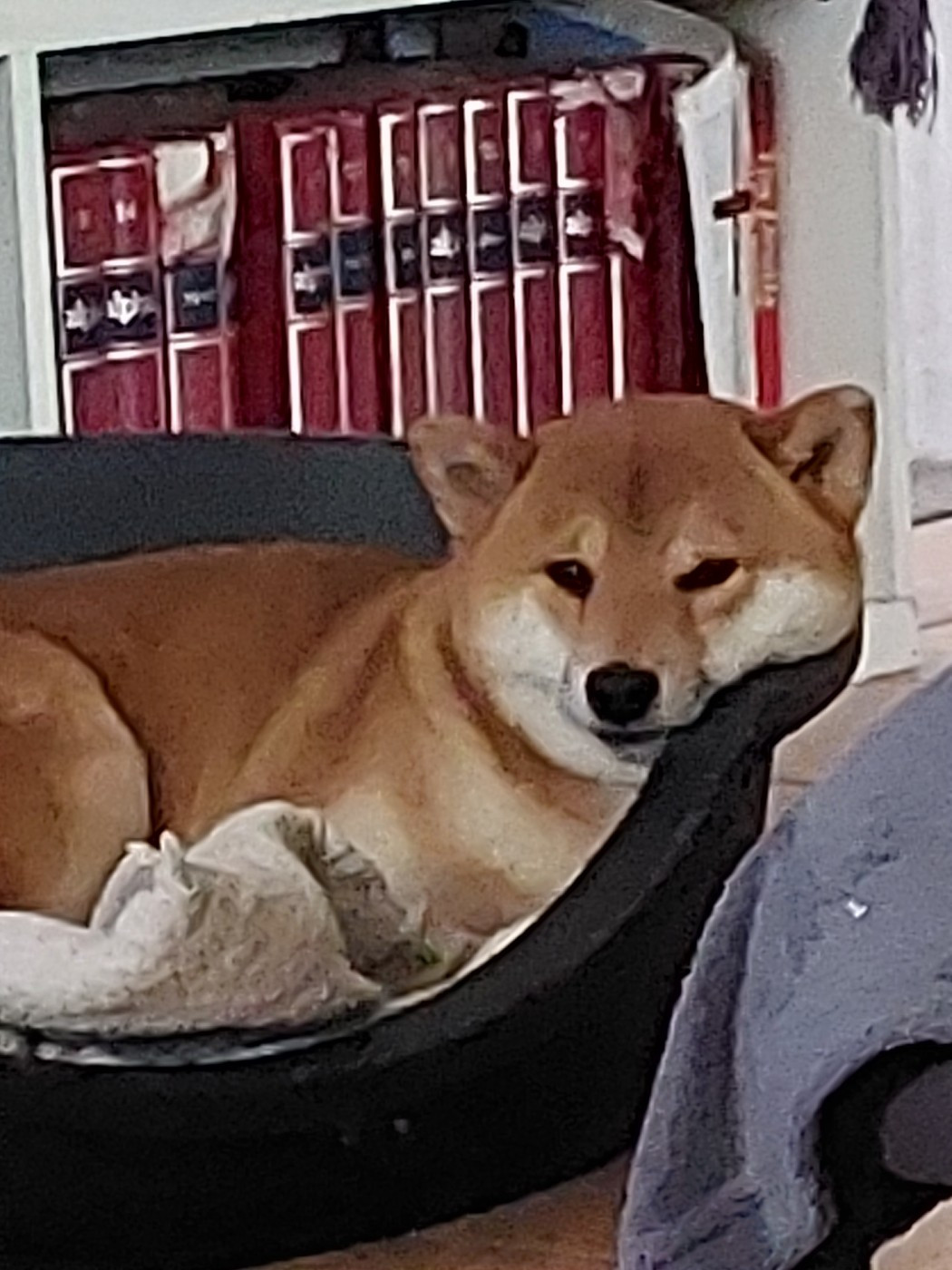 UILOW Du clan Mac deken